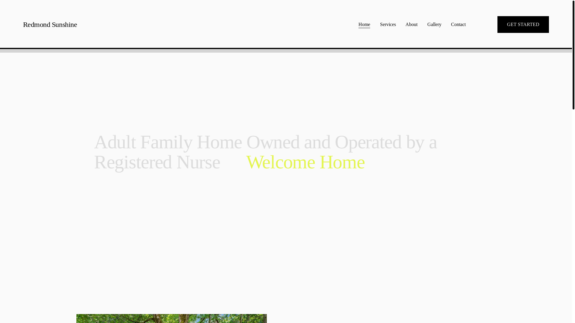 website screenshot of https://redmondsunshineafh.com/