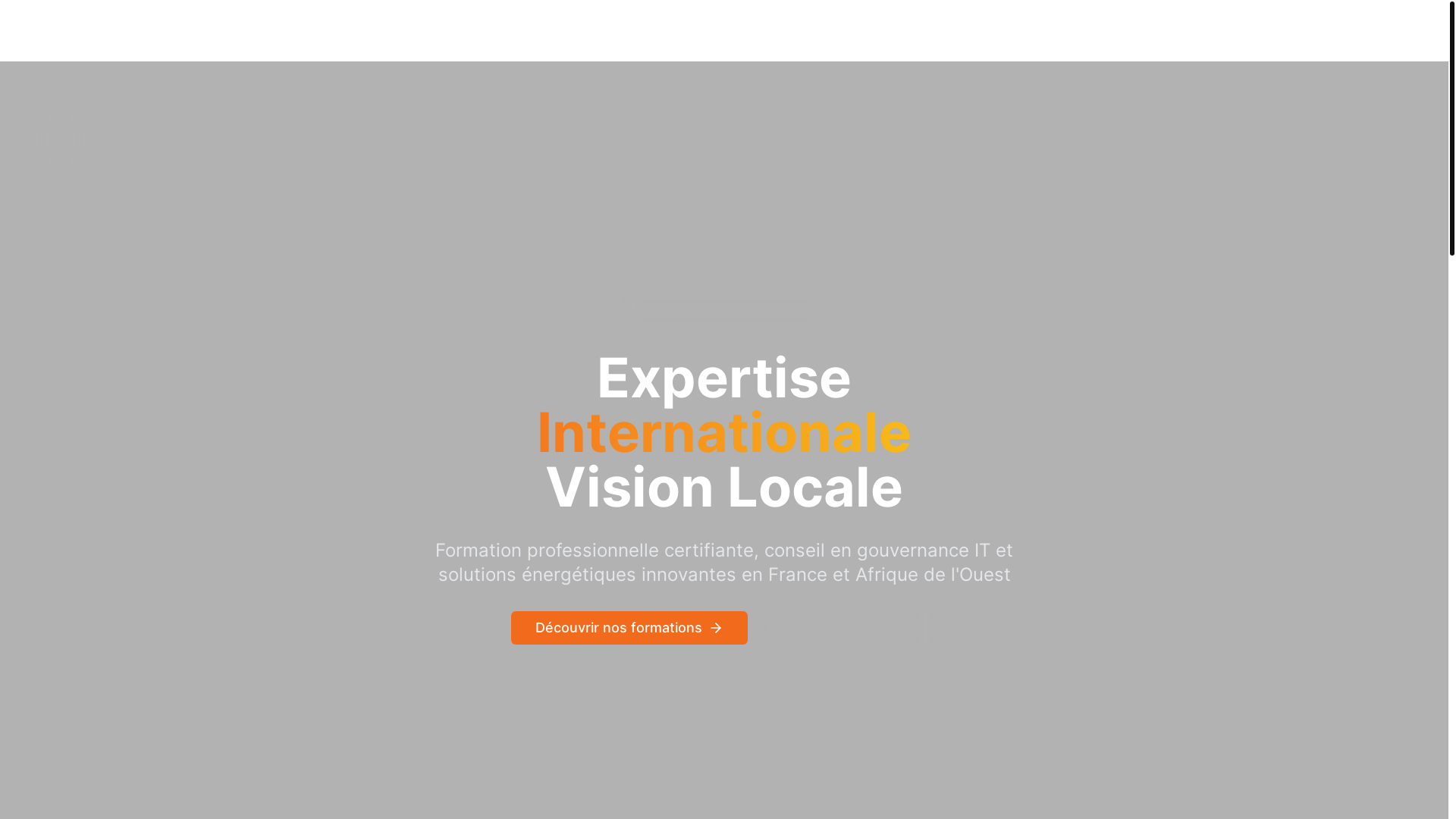 website screenshot of https://tagnini-tech.com/