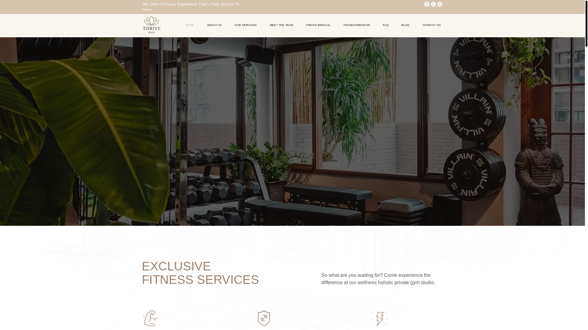 website screenshot of https://thrivebody.info/