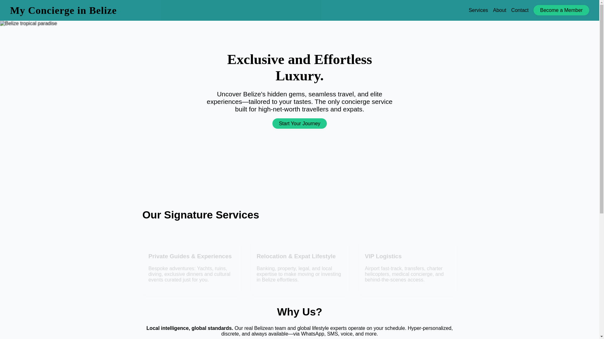 website screenshot of https://myconciergeinbelize.pages.dev/