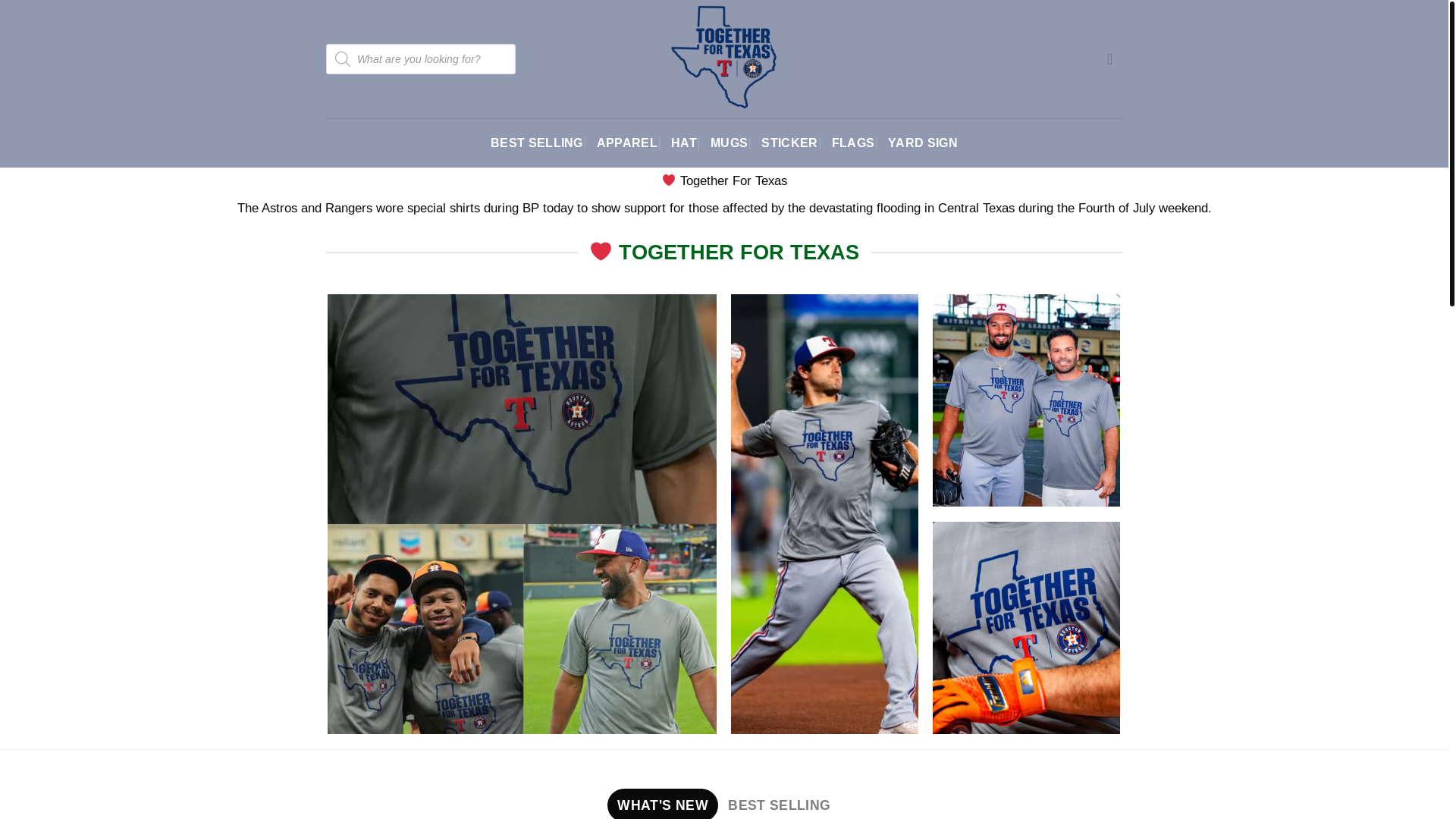 website screenshot of https://togetherfortexas.us/