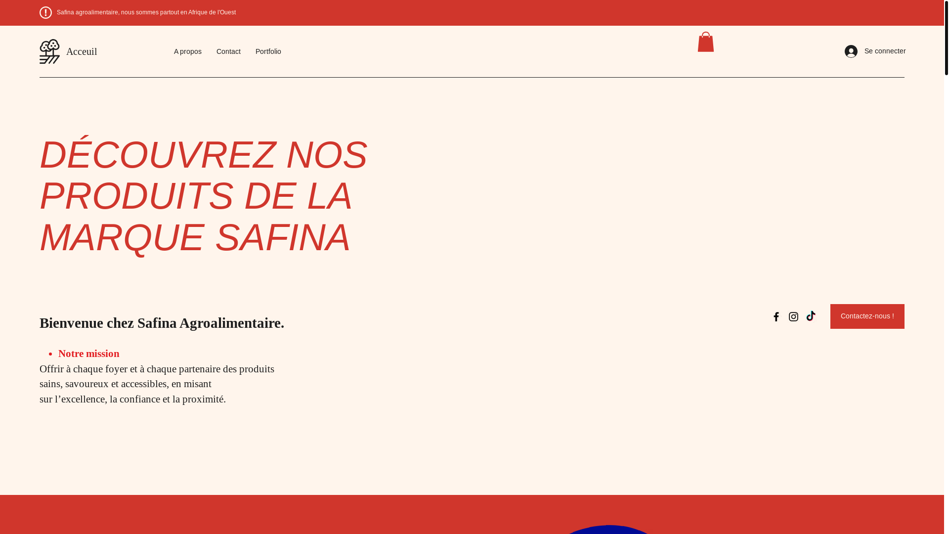 website screenshot of https://groupesafina.com/