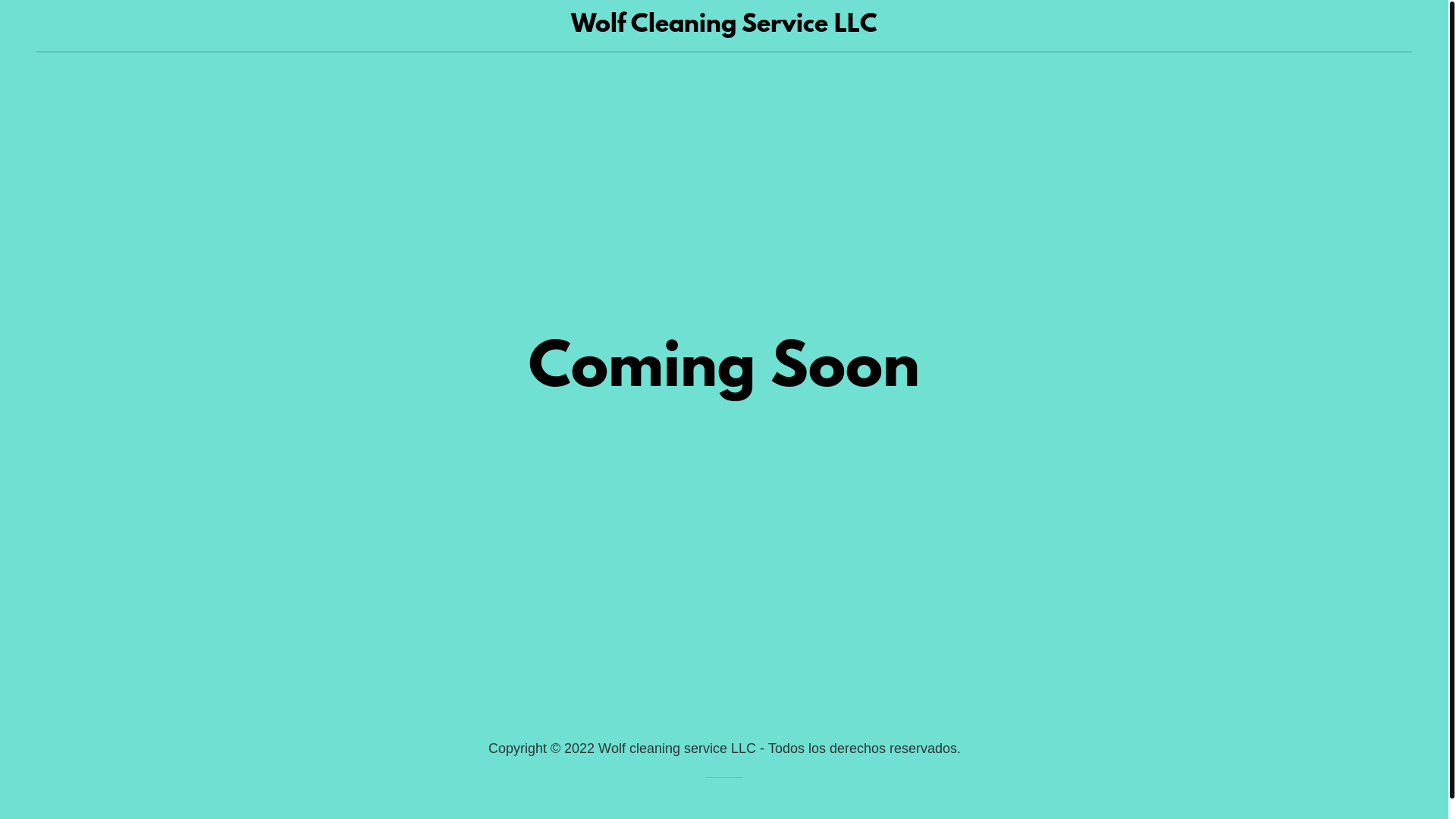website screenshot of https://wolfcleaners.info/