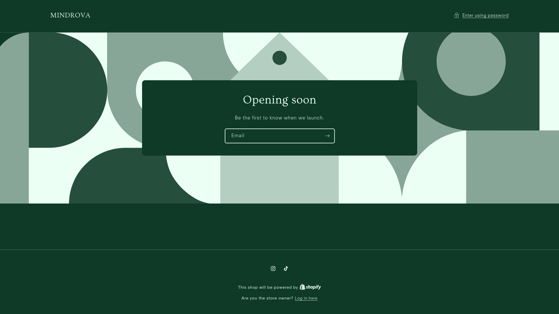 website screenshot of https://mindrova.co/
