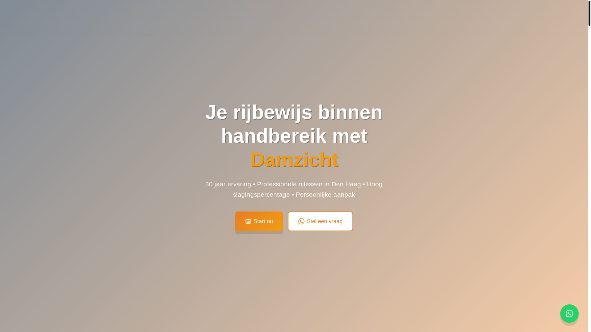 website screenshot of https://rijschooldamzicht.nl/