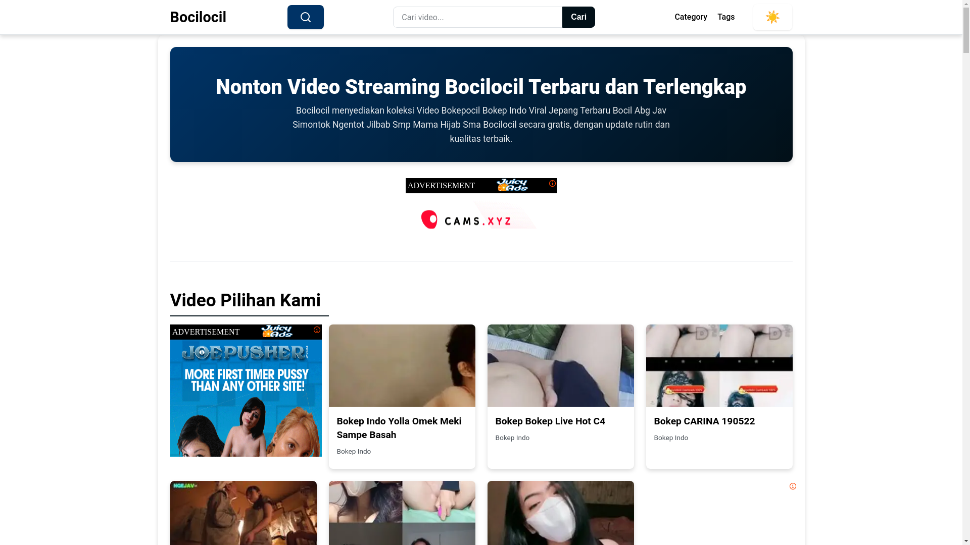 website screenshot of https://bokepocil.ink/