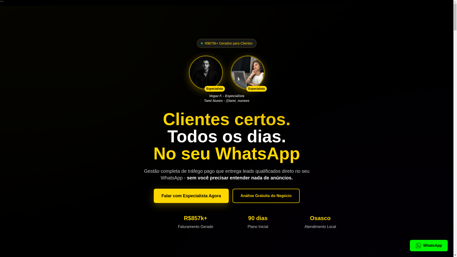 website screenshot of https://trafegovt.com.br/