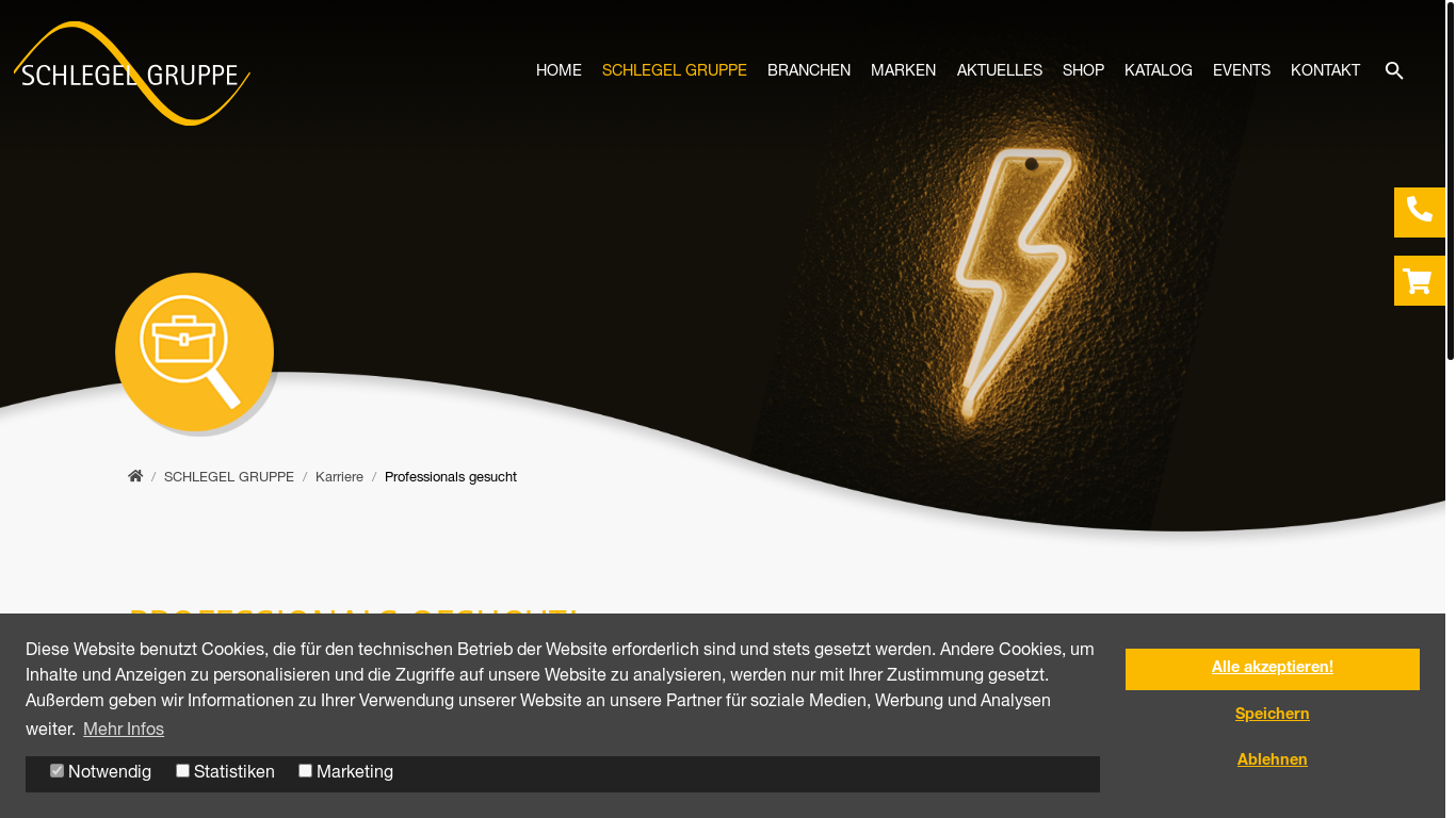 website screenshot of https://www.schlegel-gruppe.de/schlegel-gruppe/karriere/professionals-gesucht/
