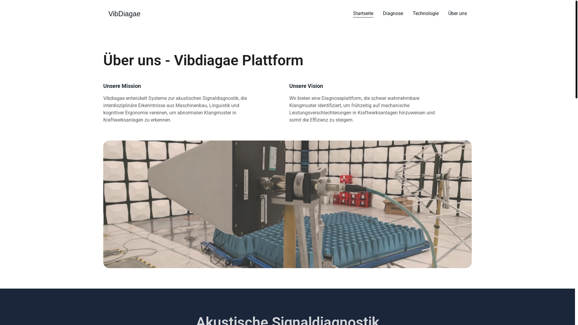 website screenshot of https://vibdiagae.cloud/
