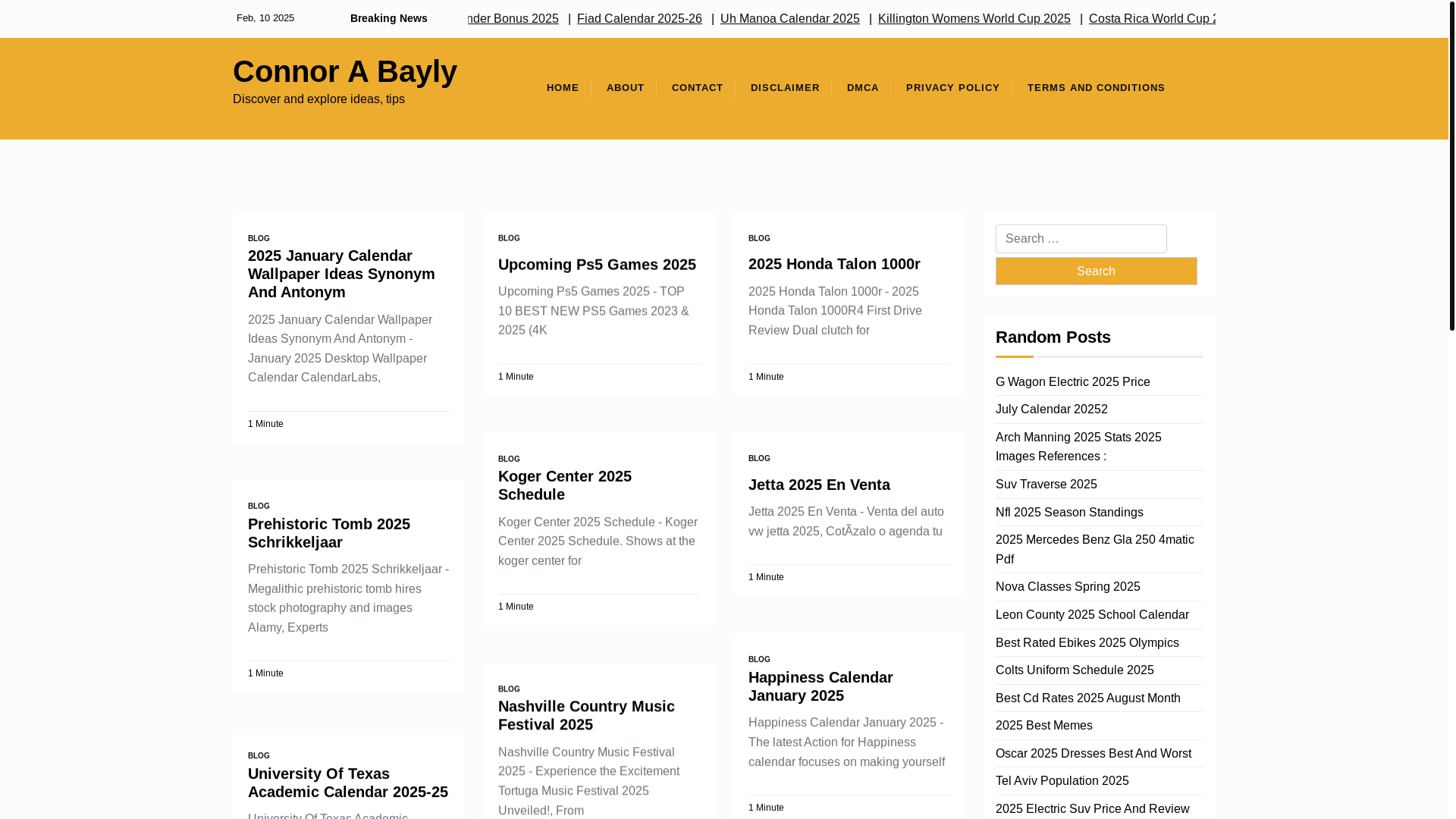 website screenshot of https://connorabayly.pages.dev/