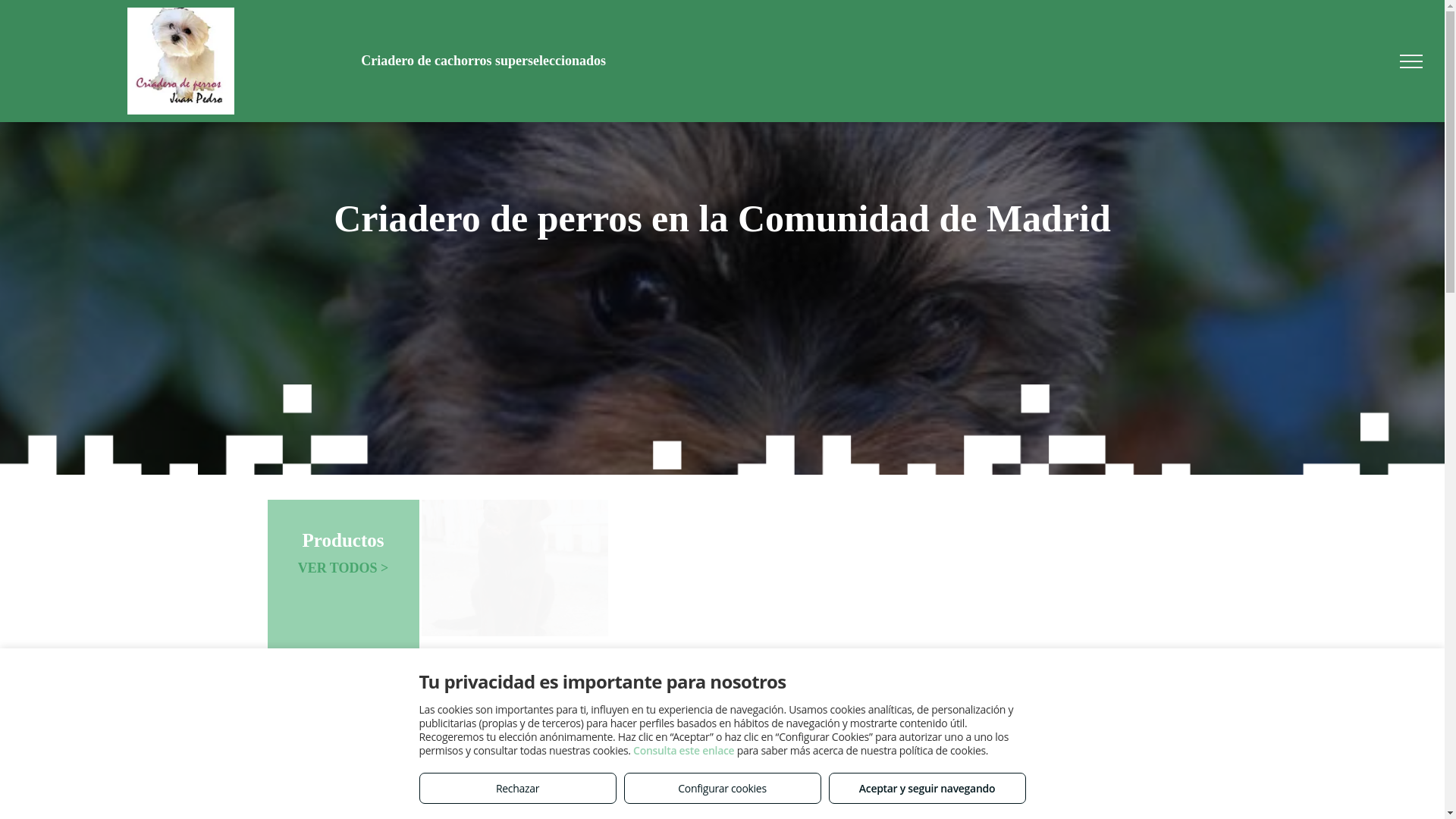 website screenshot of https://criaderocachorrossuperseleccionados.es/