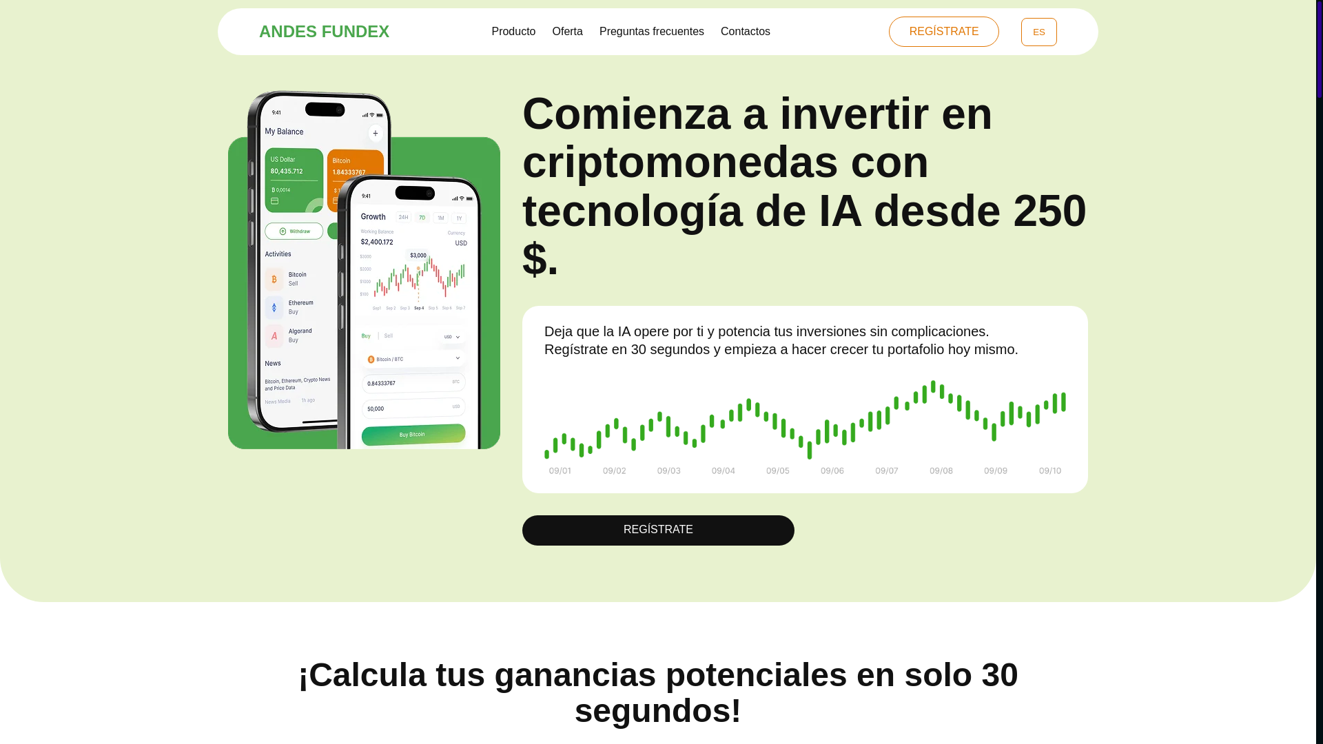 website screenshot of https://andes-fundex.com