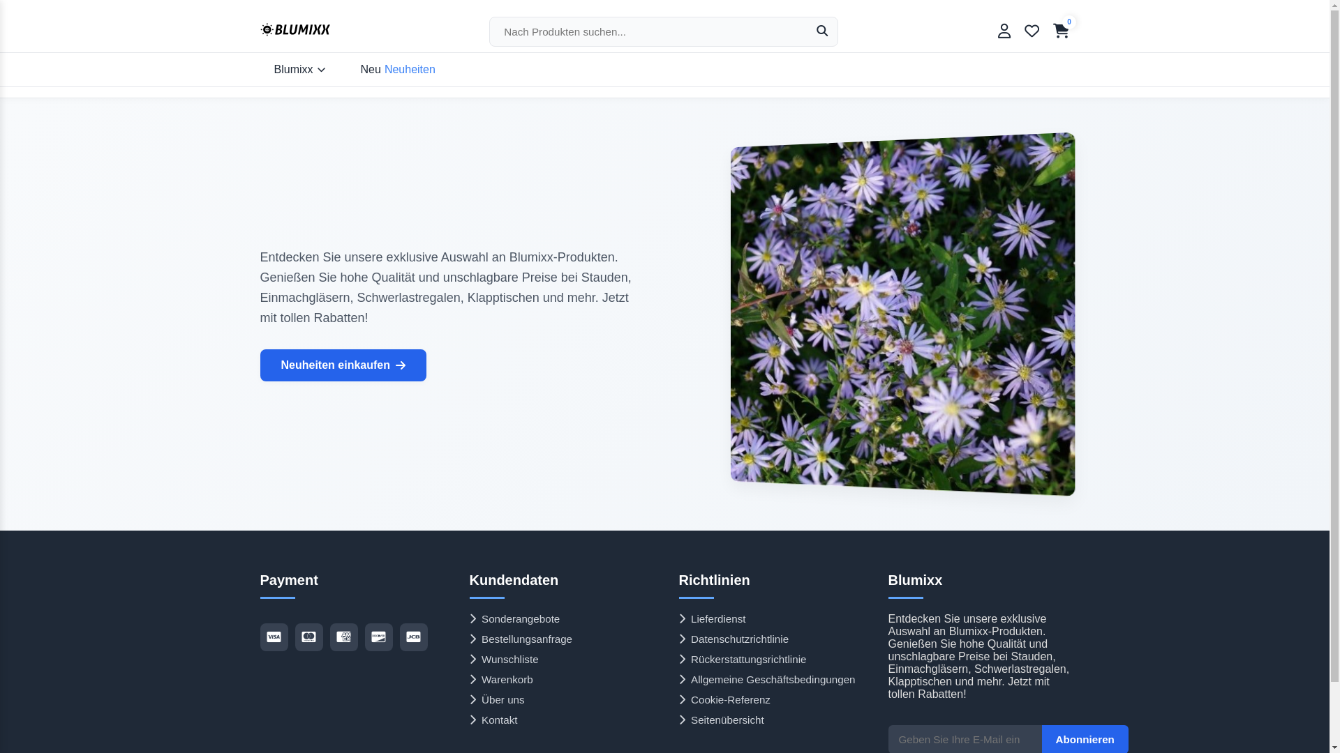 website screenshot of https://rinablumicommerce.shop/