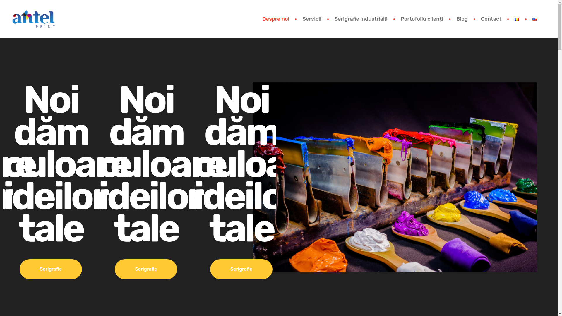 website screenshot of https://antelprint.ro/