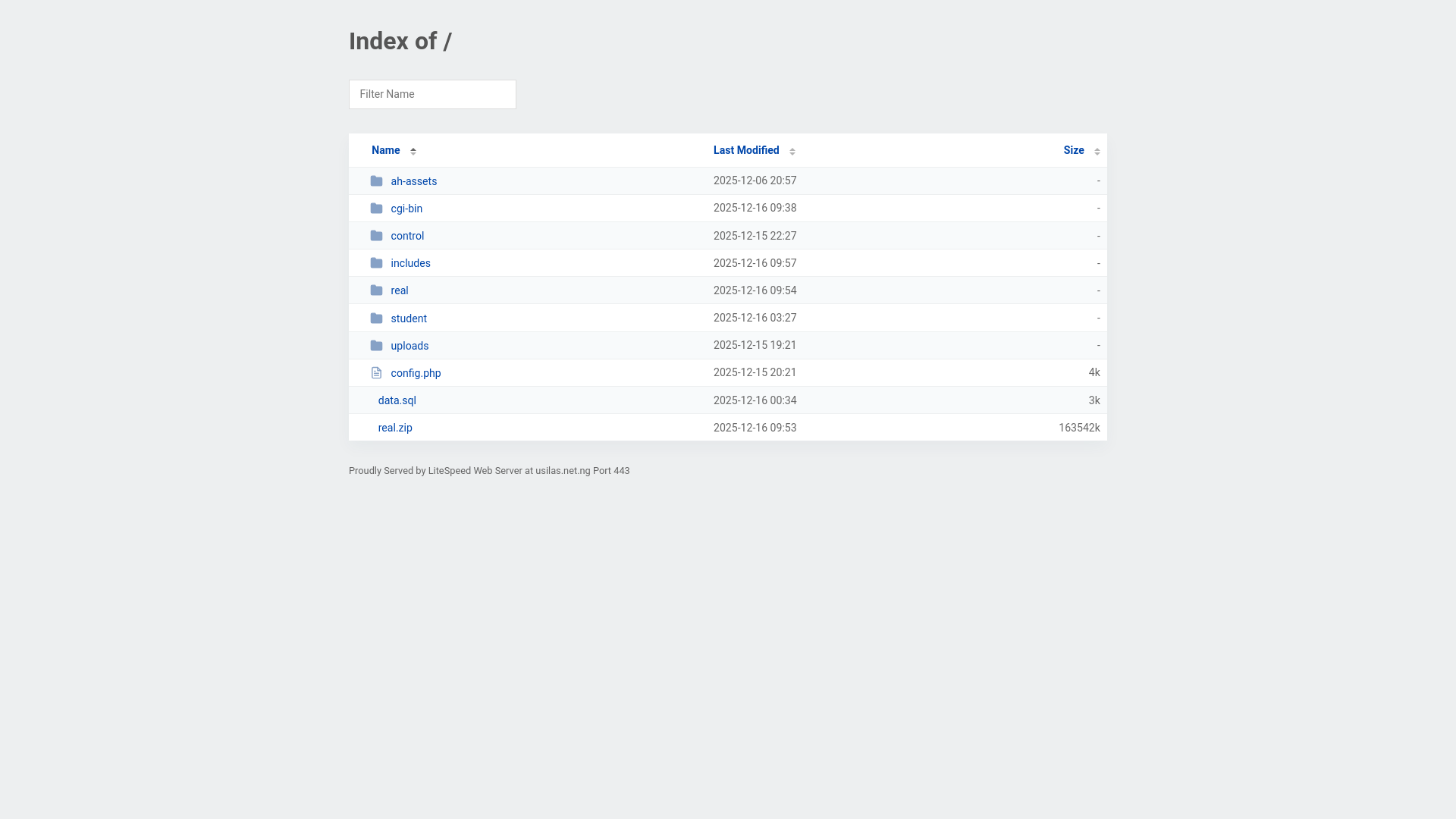 website screenshot of https://usilas.net.ng/