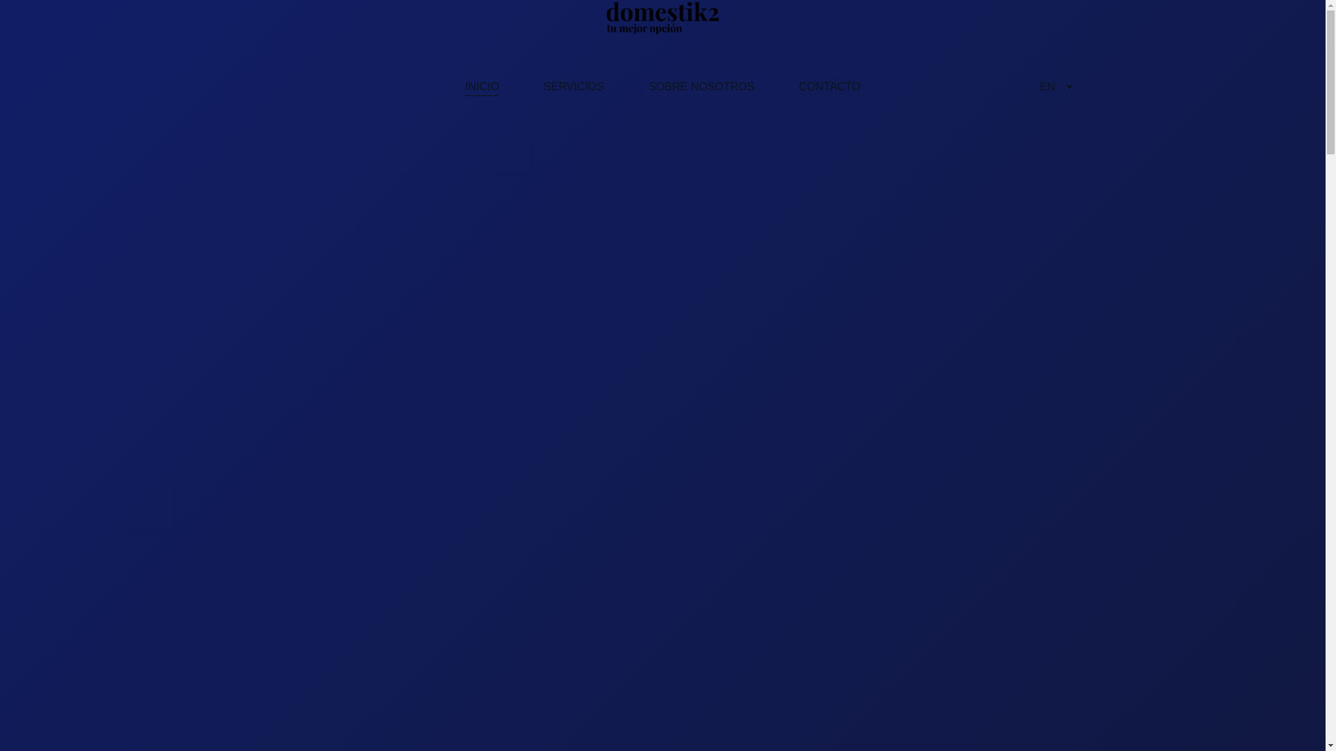 website screenshot of https://domestik2.es/