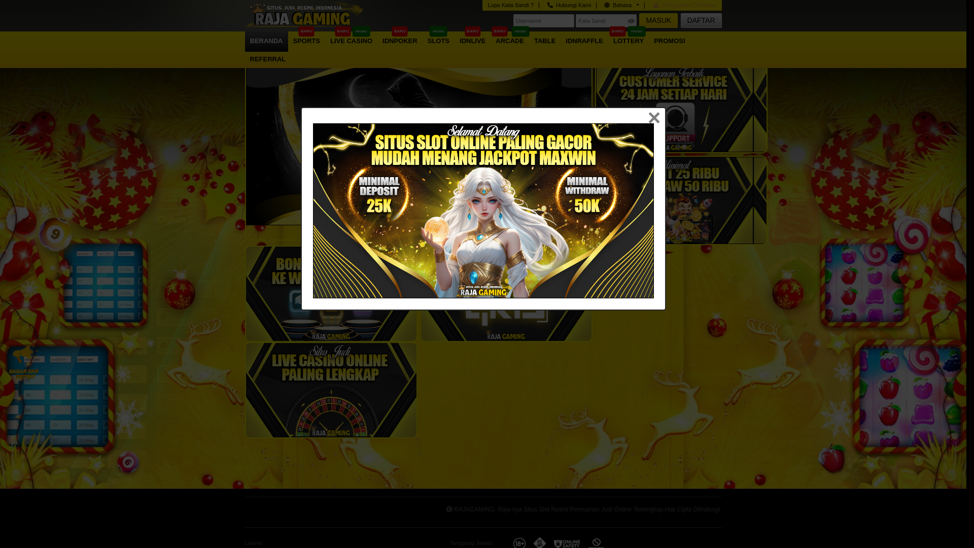 website screenshot of https://rajagamingsky.com/