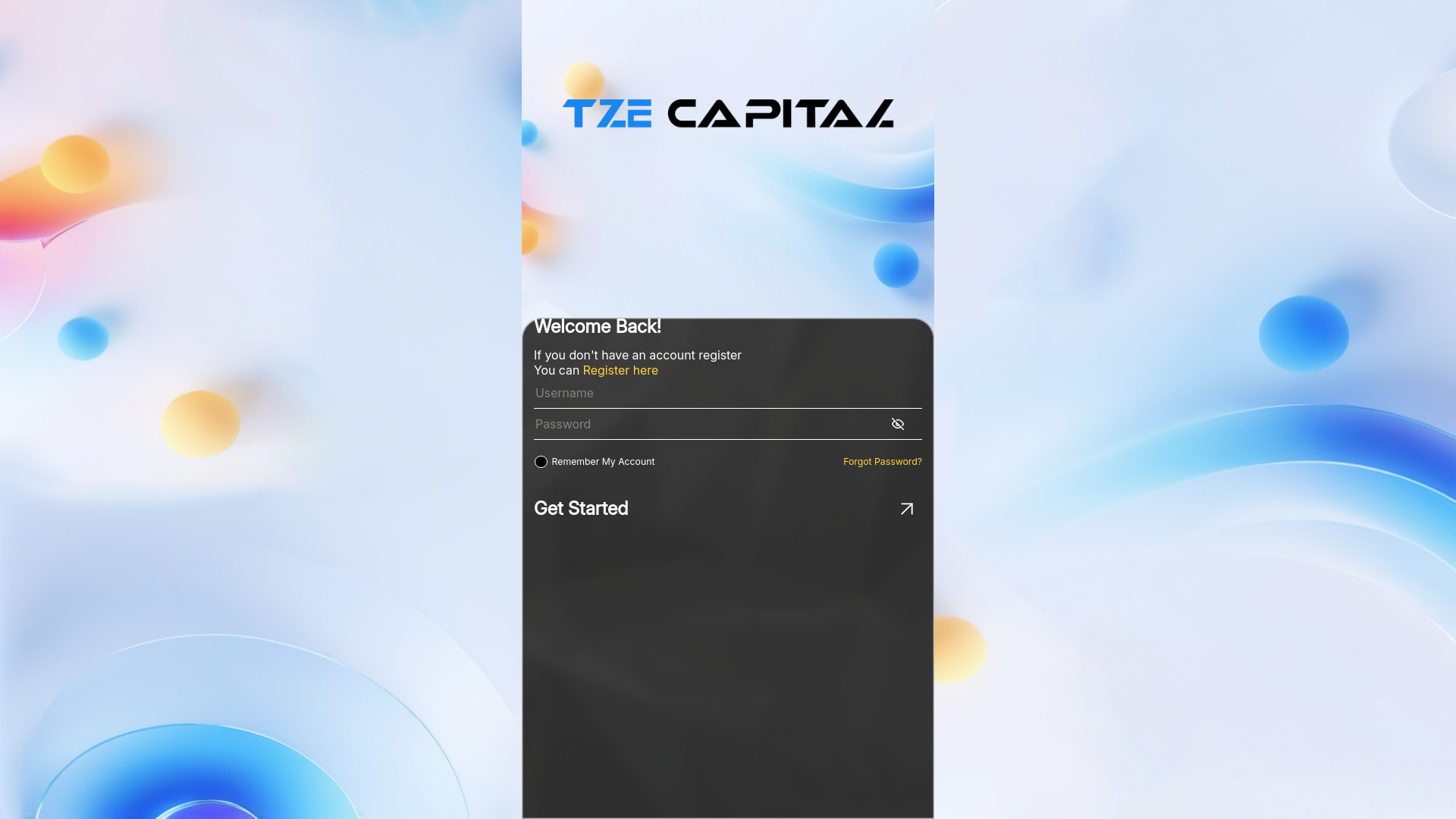 website screenshot of https://tzetechnology.com/