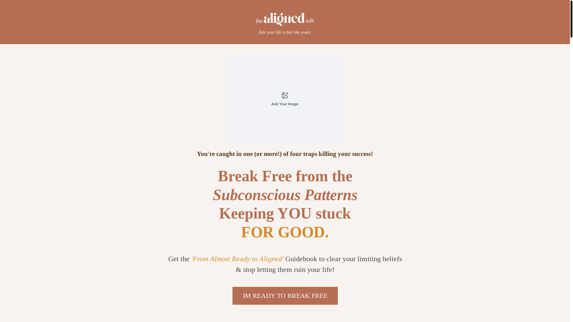 website screenshot of https://thealignededit.co/
