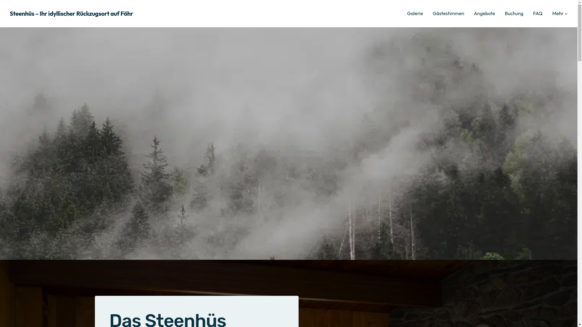website screenshot of https://steenhues-foehr.de/