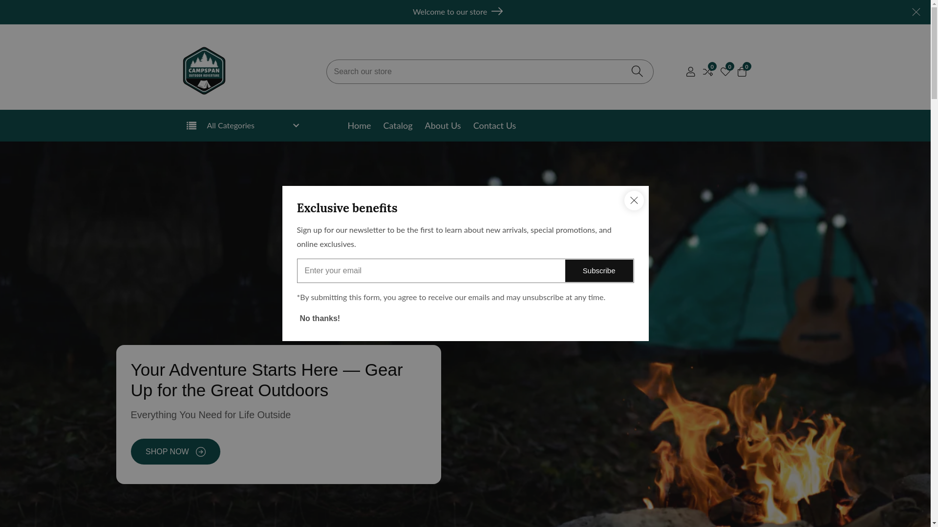 website screenshot of https://campspan.com/