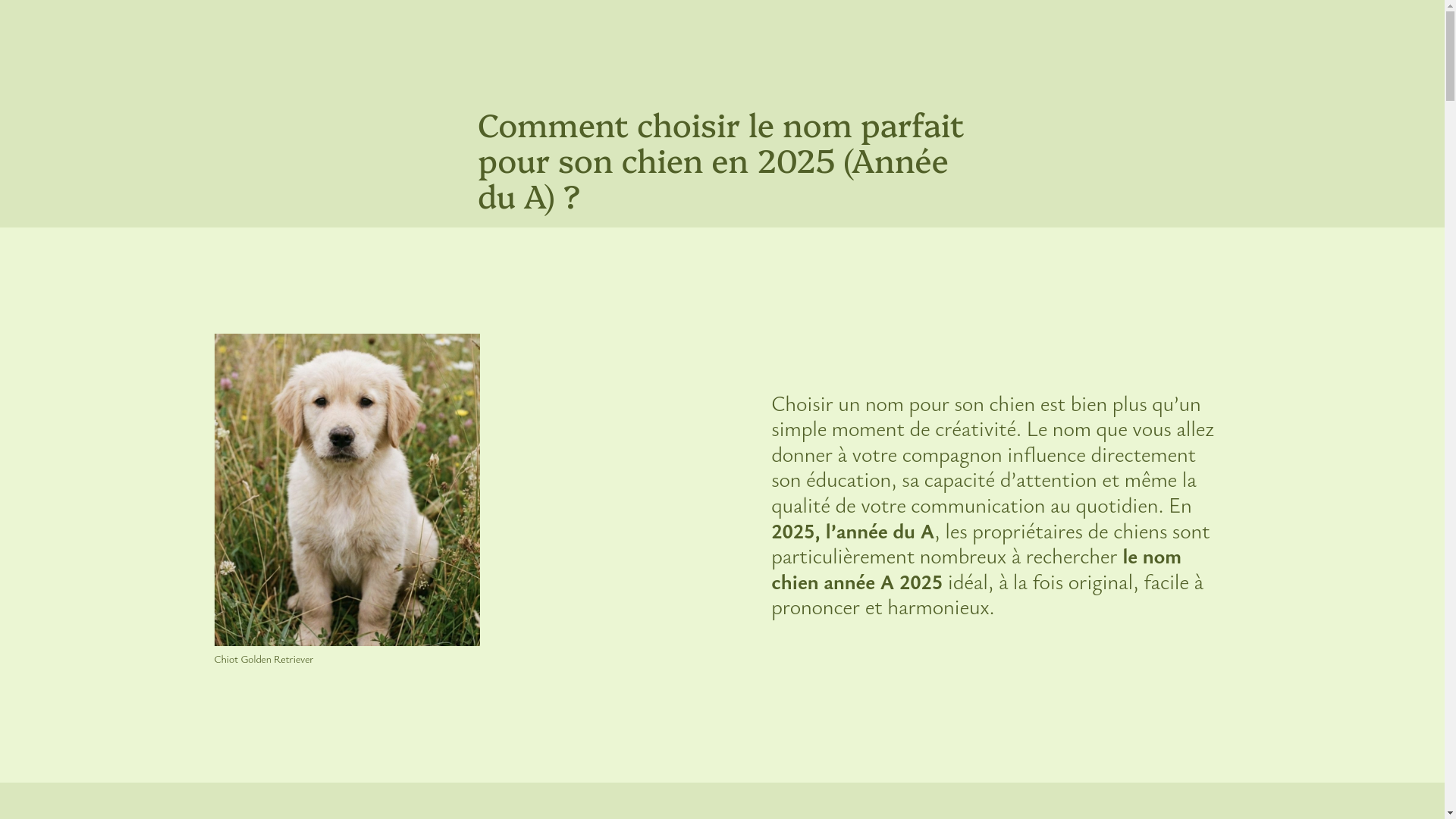 website screenshot of https://dico-pattes.pages.dev/