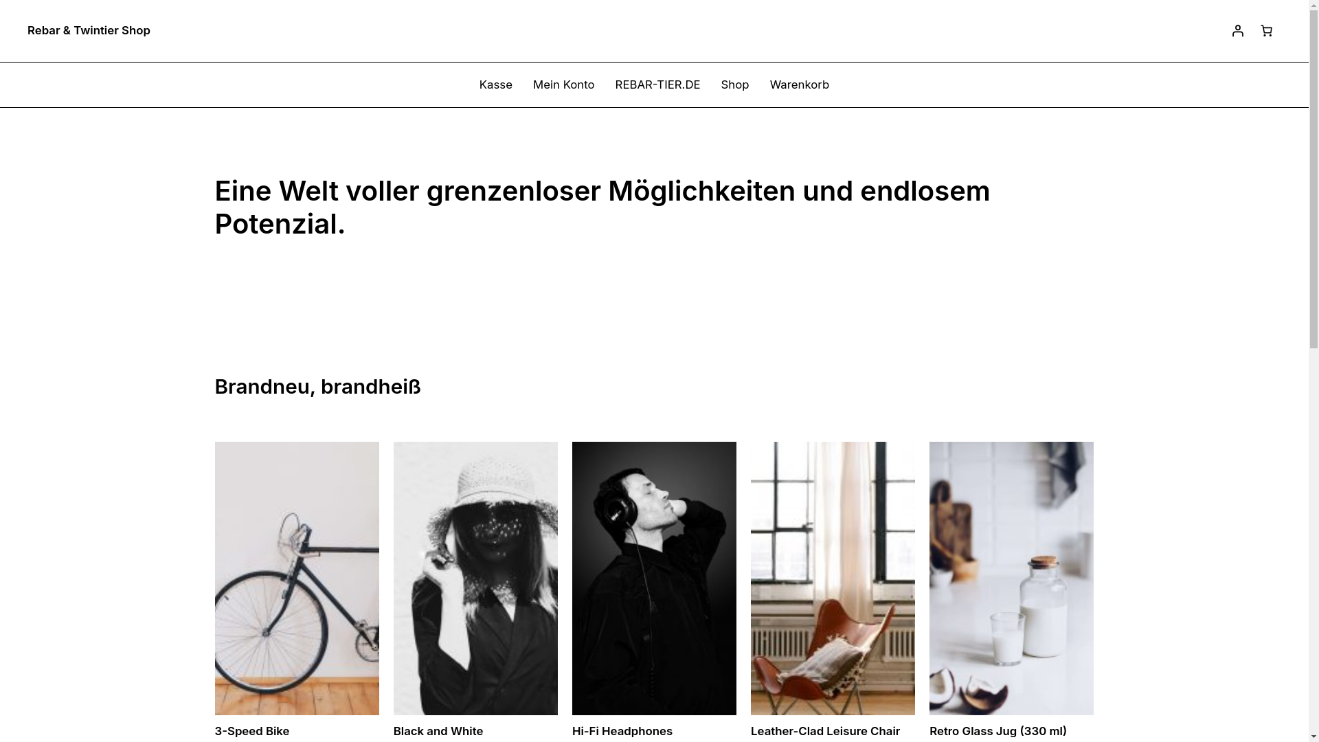website screenshot of https://twintier.at/