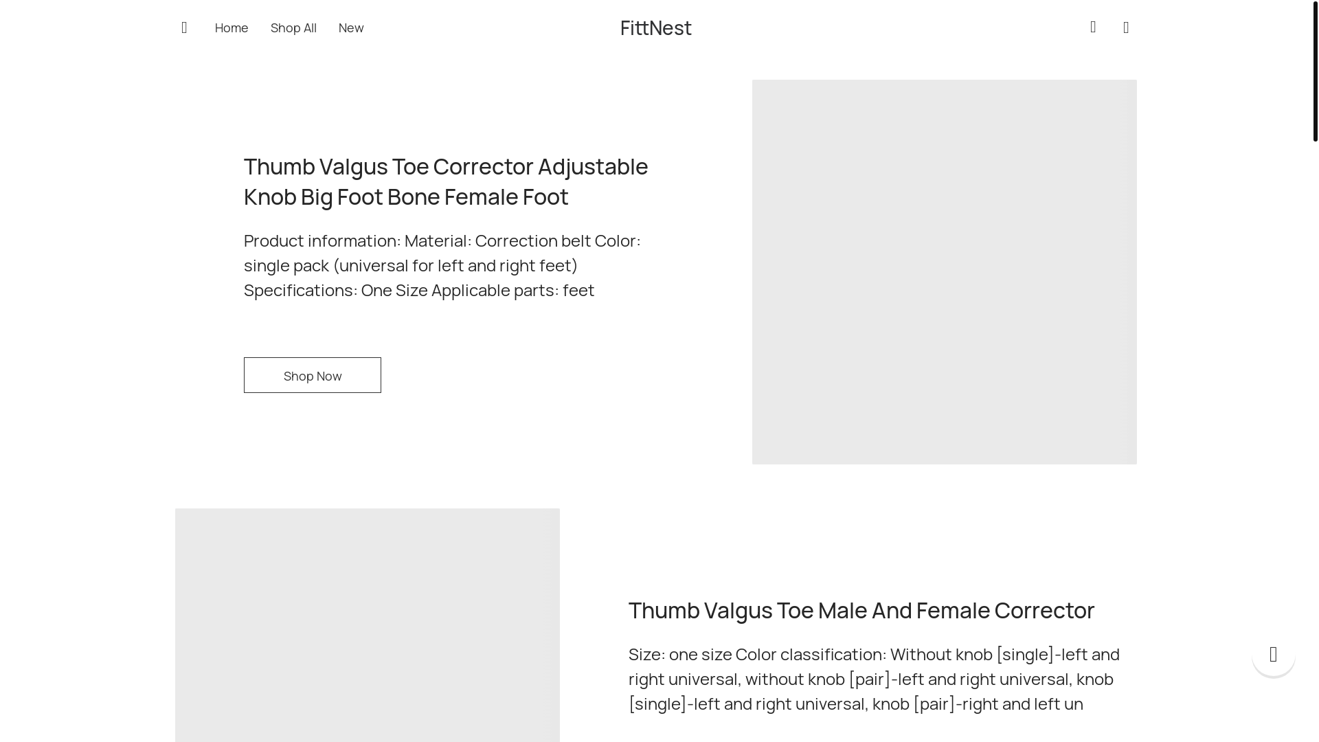 website screenshot of https://toocorrector.store/