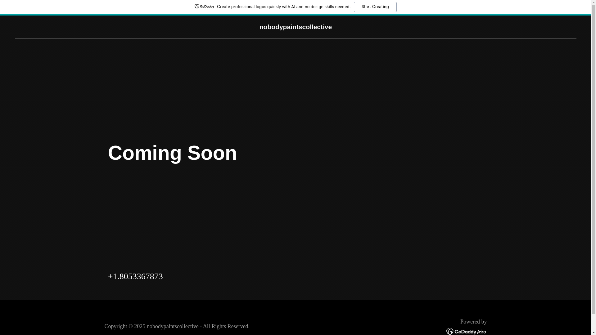 website screenshot of https://nobodypaintscollective.org/