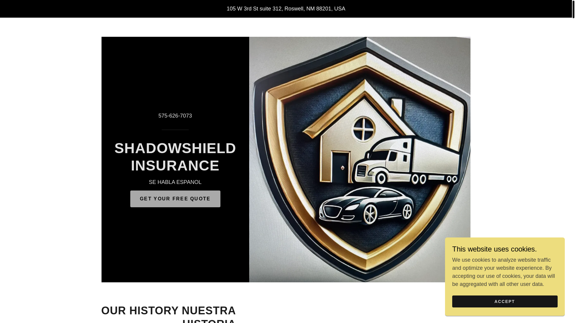 website screenshot of https://shadowshieldinsurance.net/