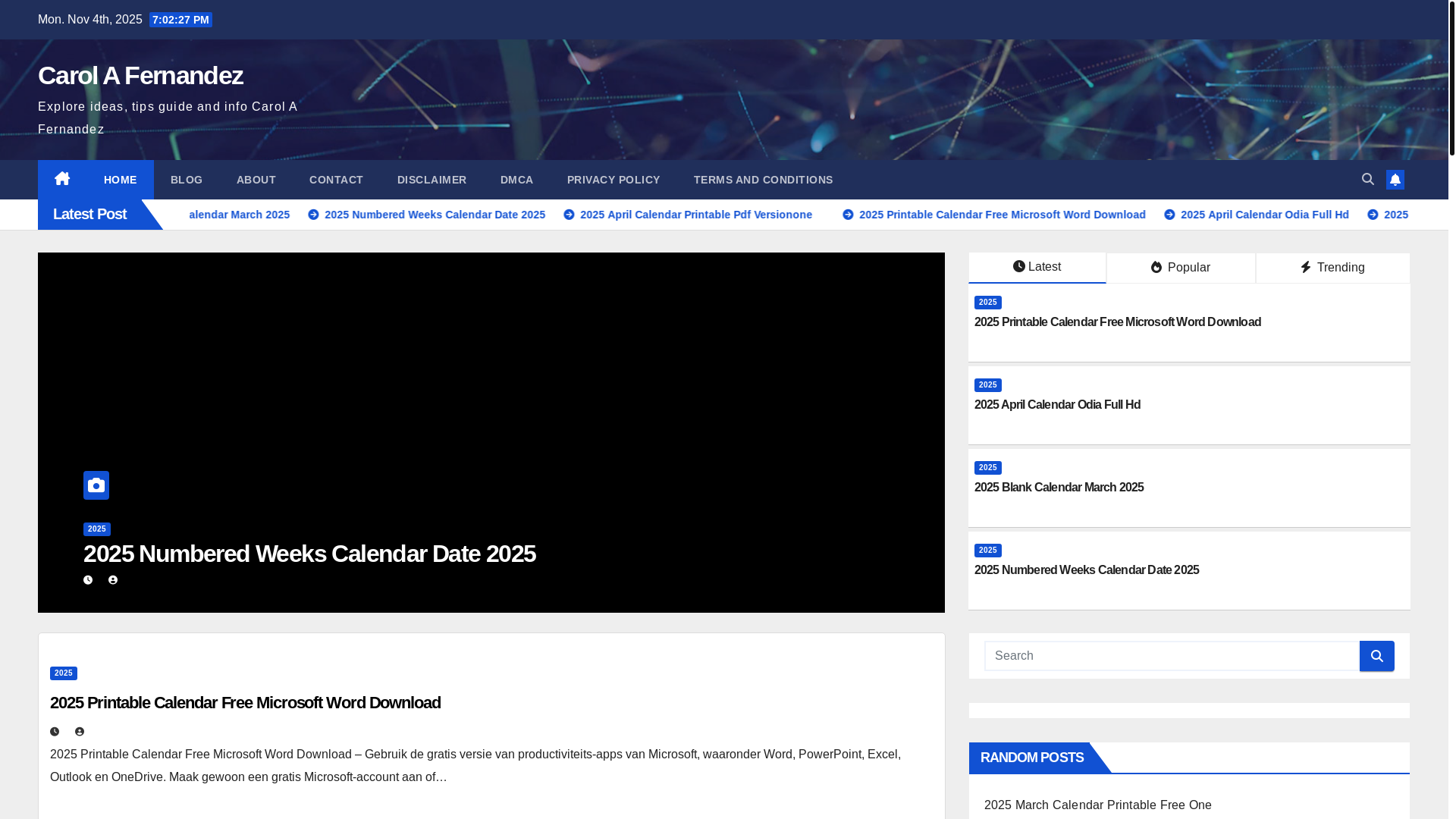 website screenshot of https://carolafernandezn.pages.dev/
