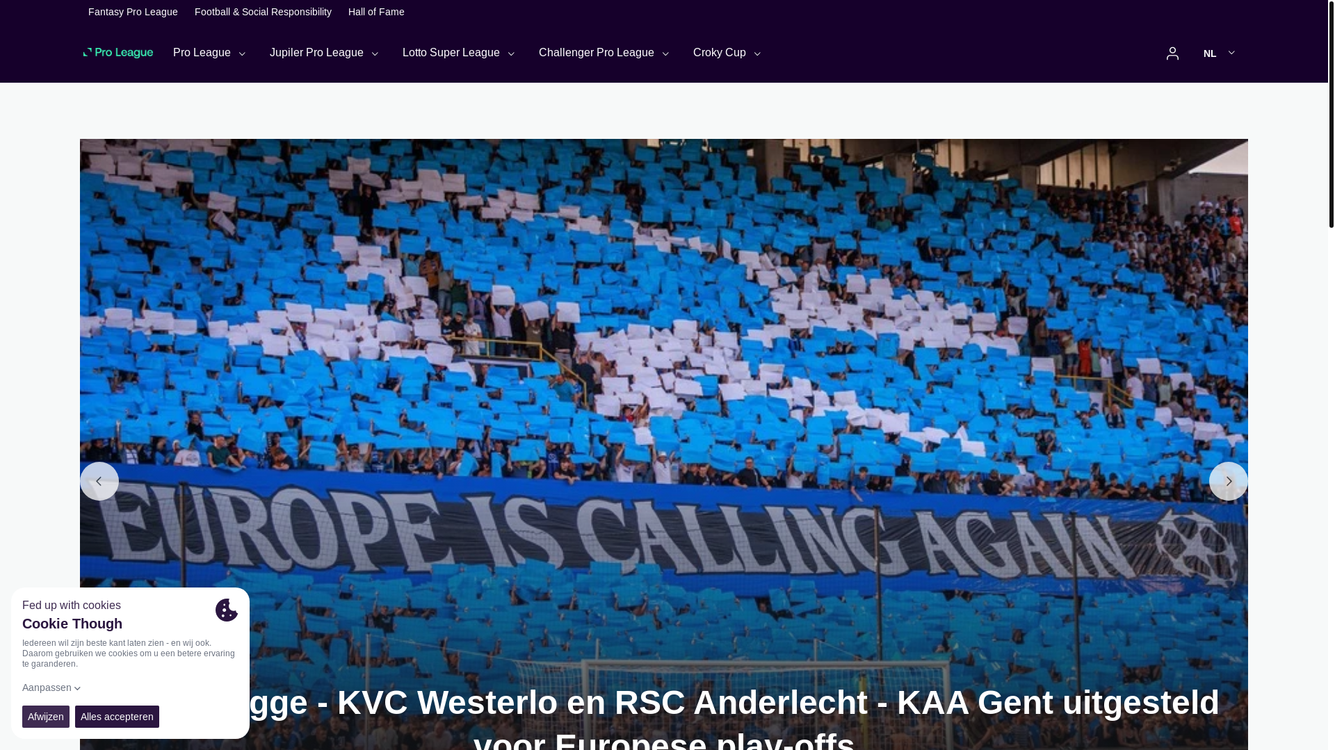 website screenshot of https://www.proleague.be/