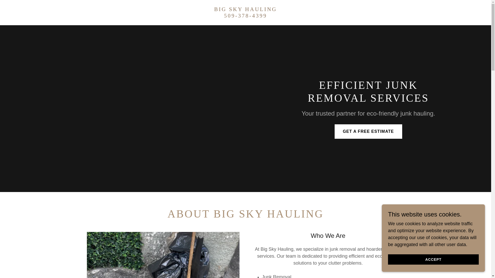 website screenshot of https://bigskyhaulingwa.com/