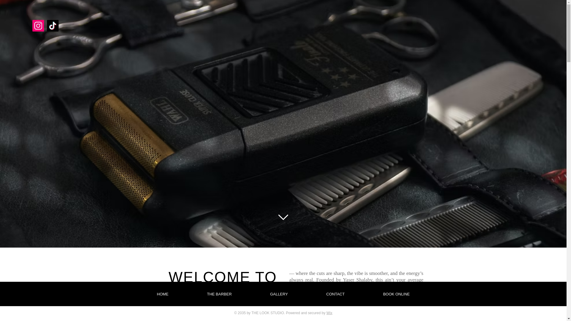 website screenshot of https://shalabyfadez.com/
