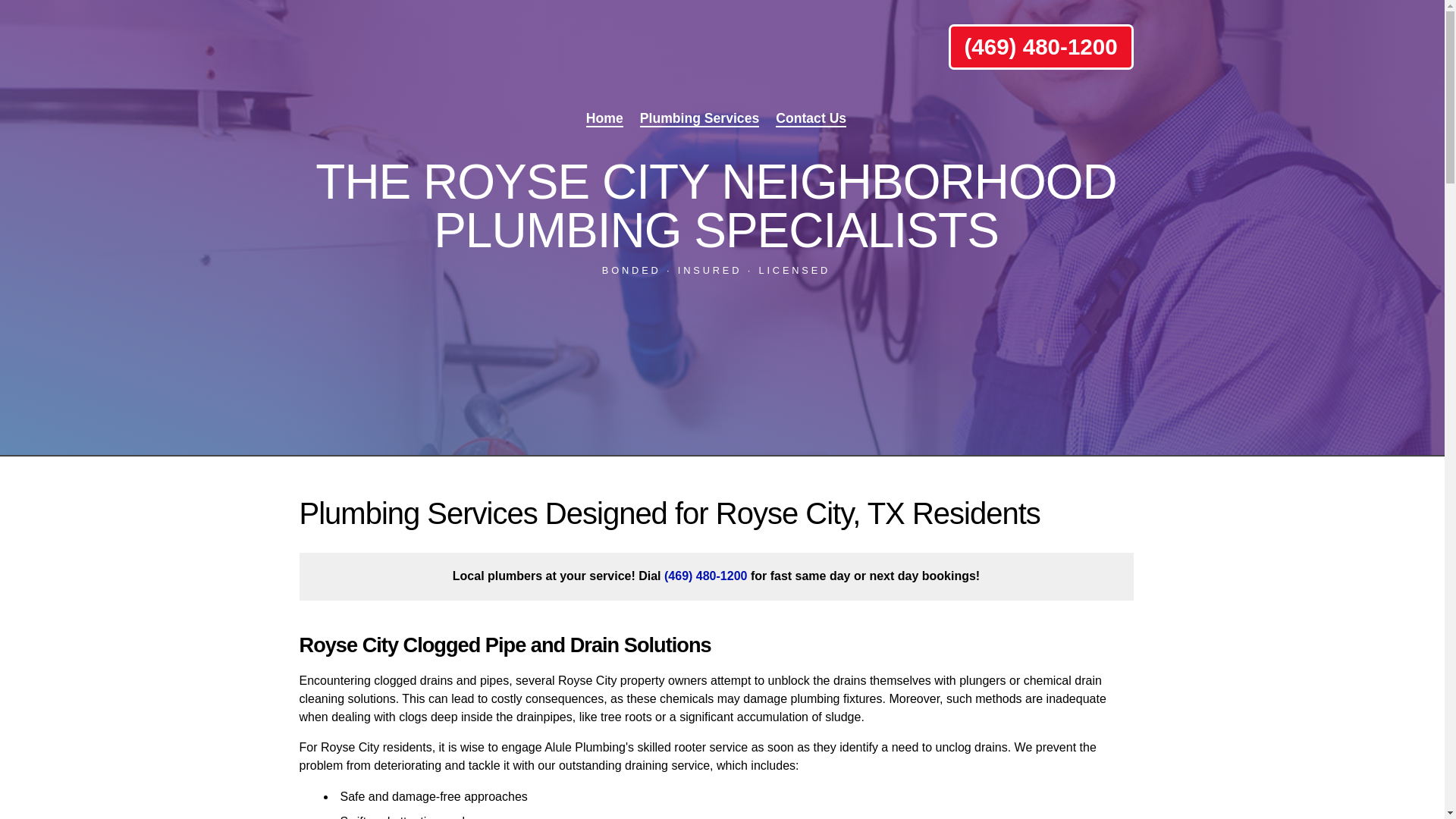 website screenshot of https://aluleplumbingtx.pro/