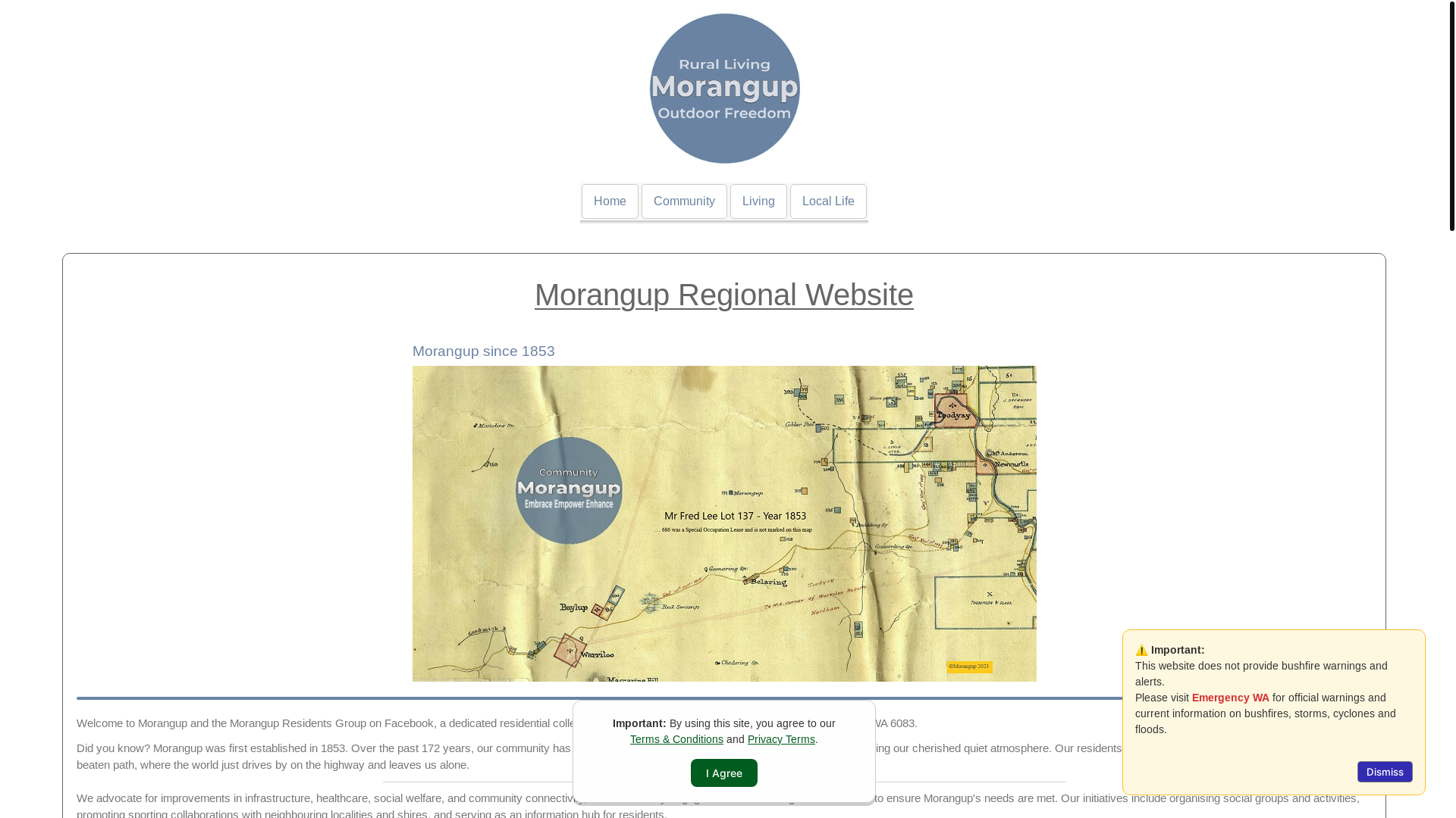 website screenshot of https://intoceramics.com.au/