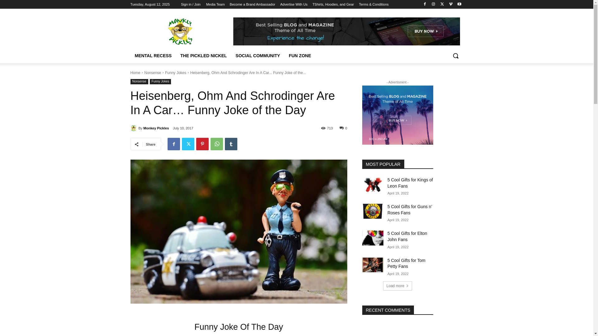 website screenshot of https://monkeypickles.com/funny-nonsense/funny-jokes/heisenberg-ohm-and-schrodinger-are-in-a-car/