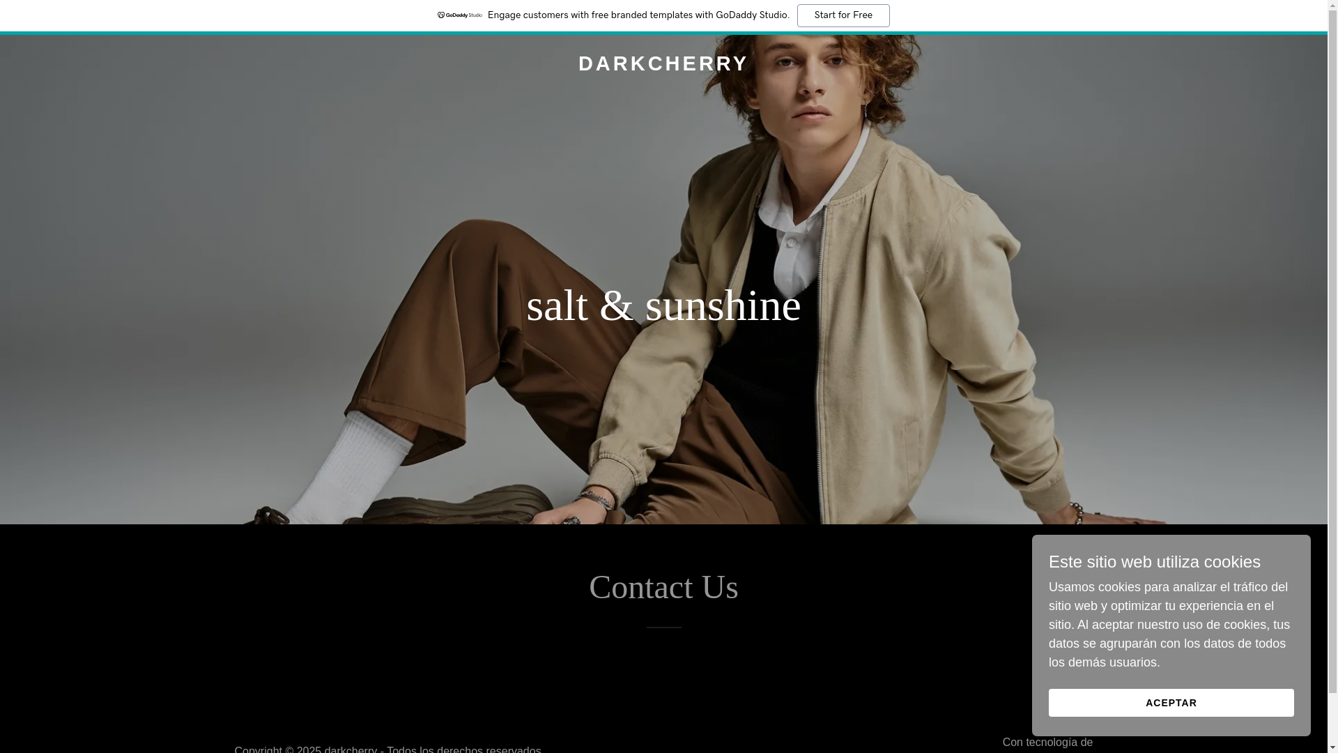 website screenshot of https://thedarkcherry.com/