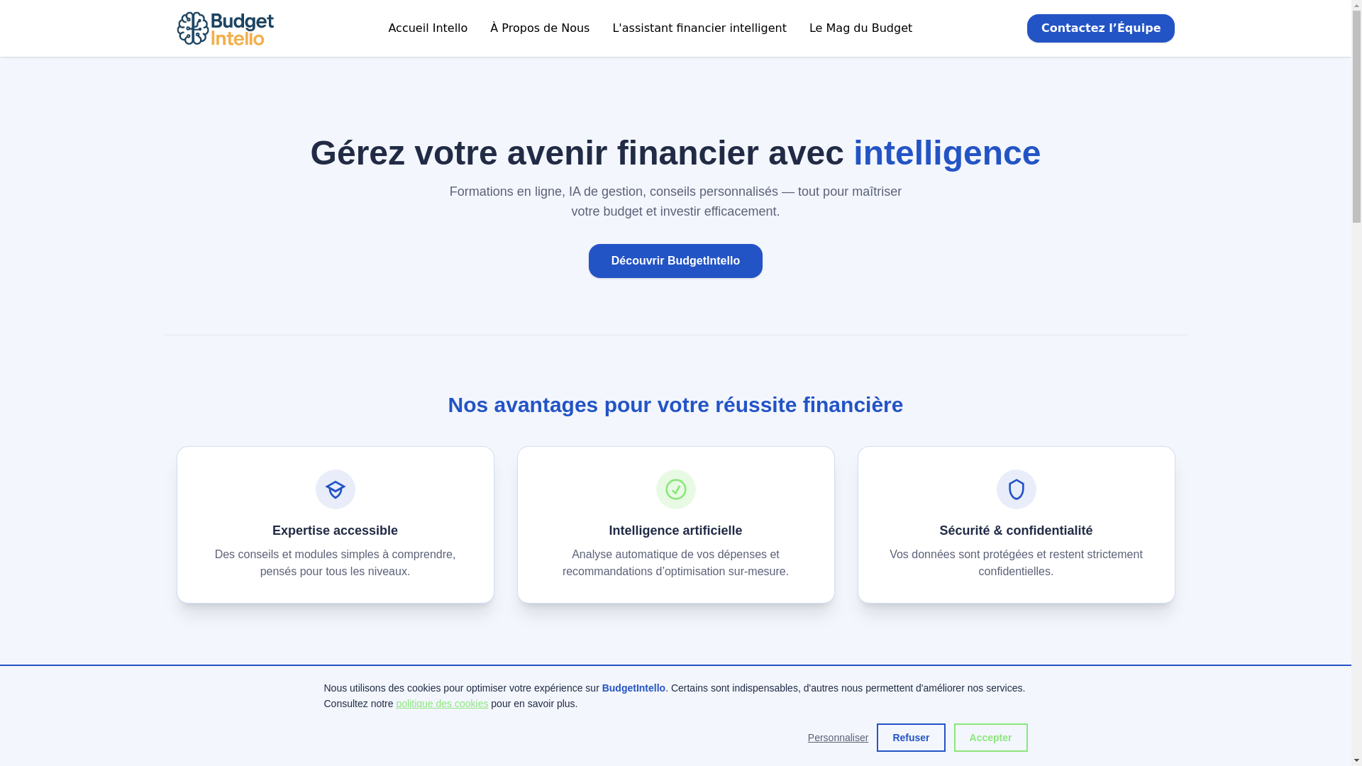 website screenshot of https://budgetintello.com/