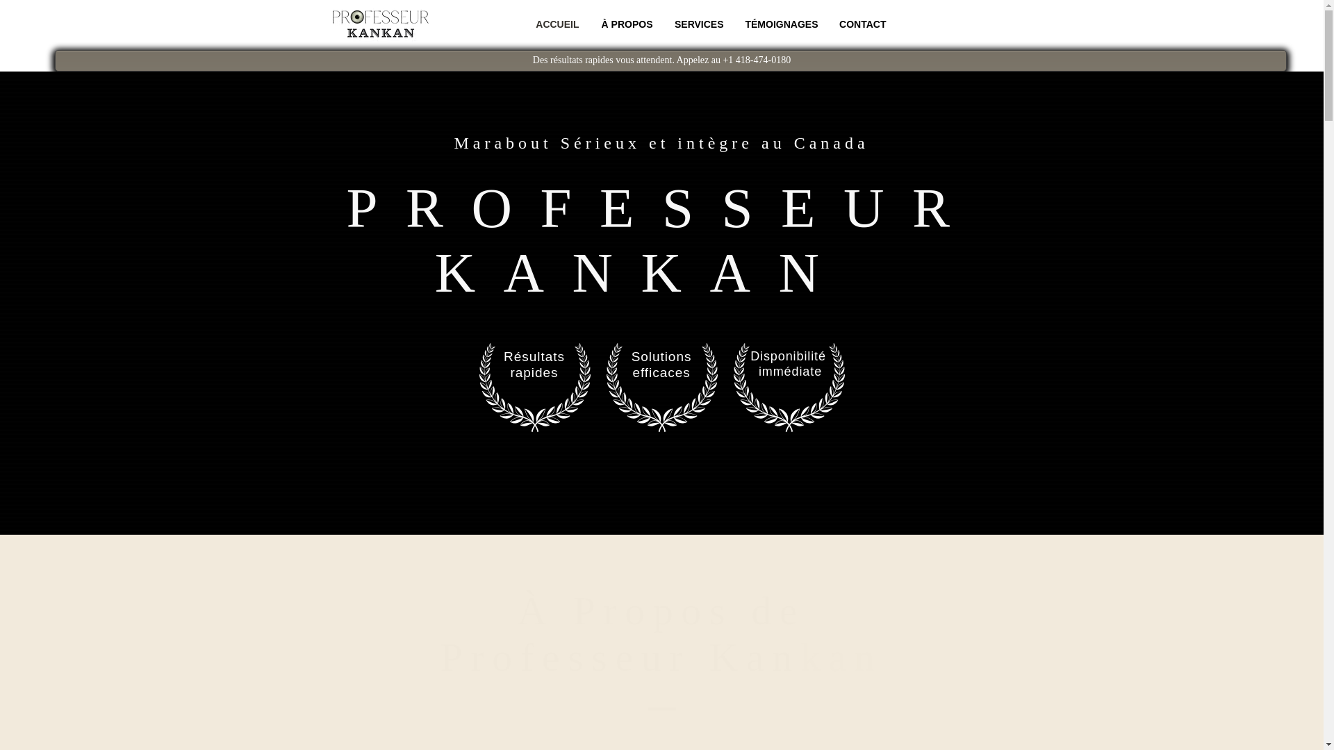 website screenshot of https://professeur-kankan.ca/