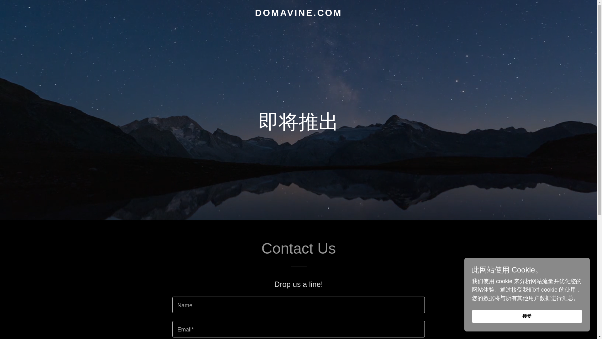 website screenshot of https://domavine.com/
