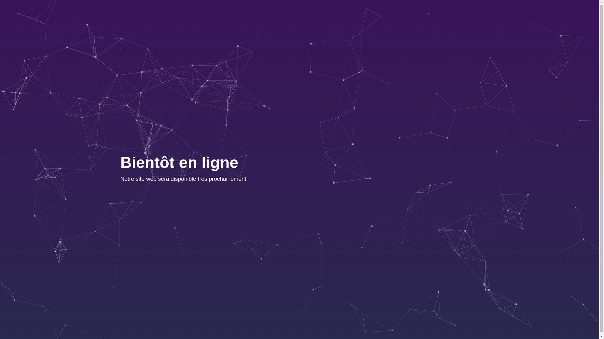 website screenshot of https://epiceriebrou.com/