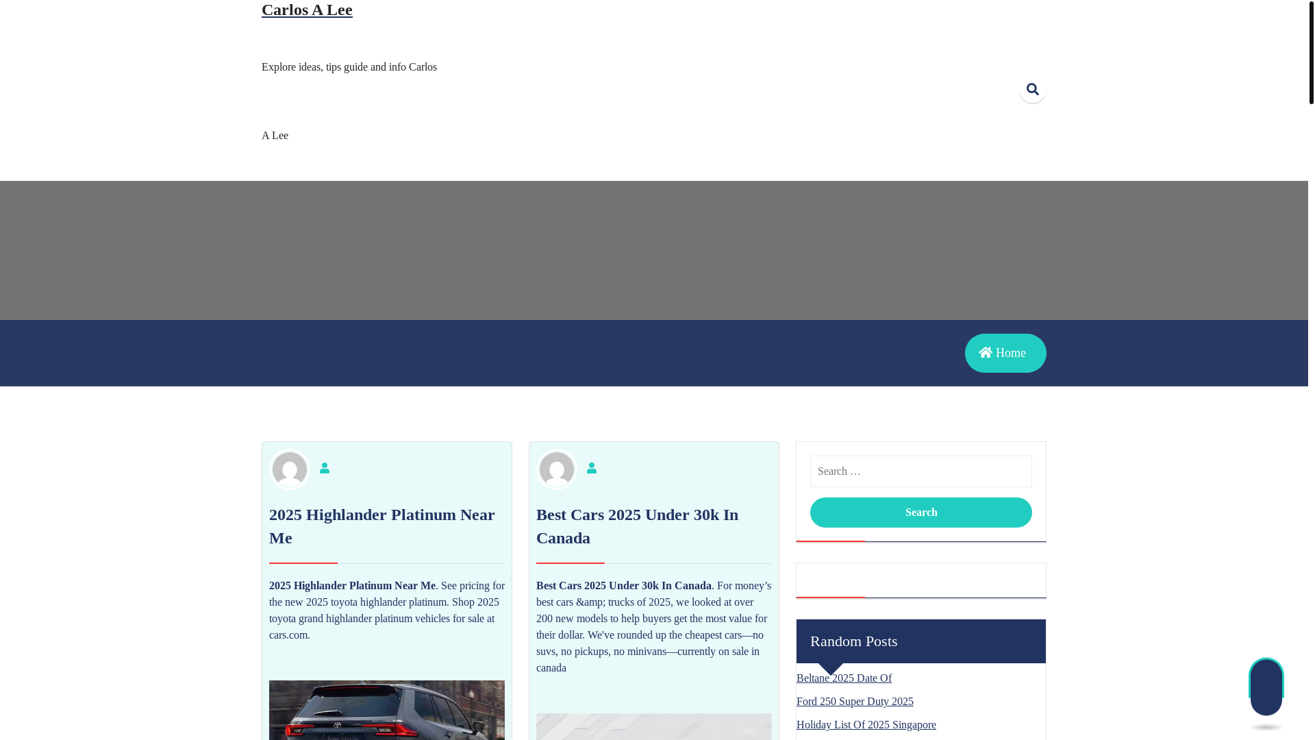 website screenshot of https://carlosaleem.pages.dev/