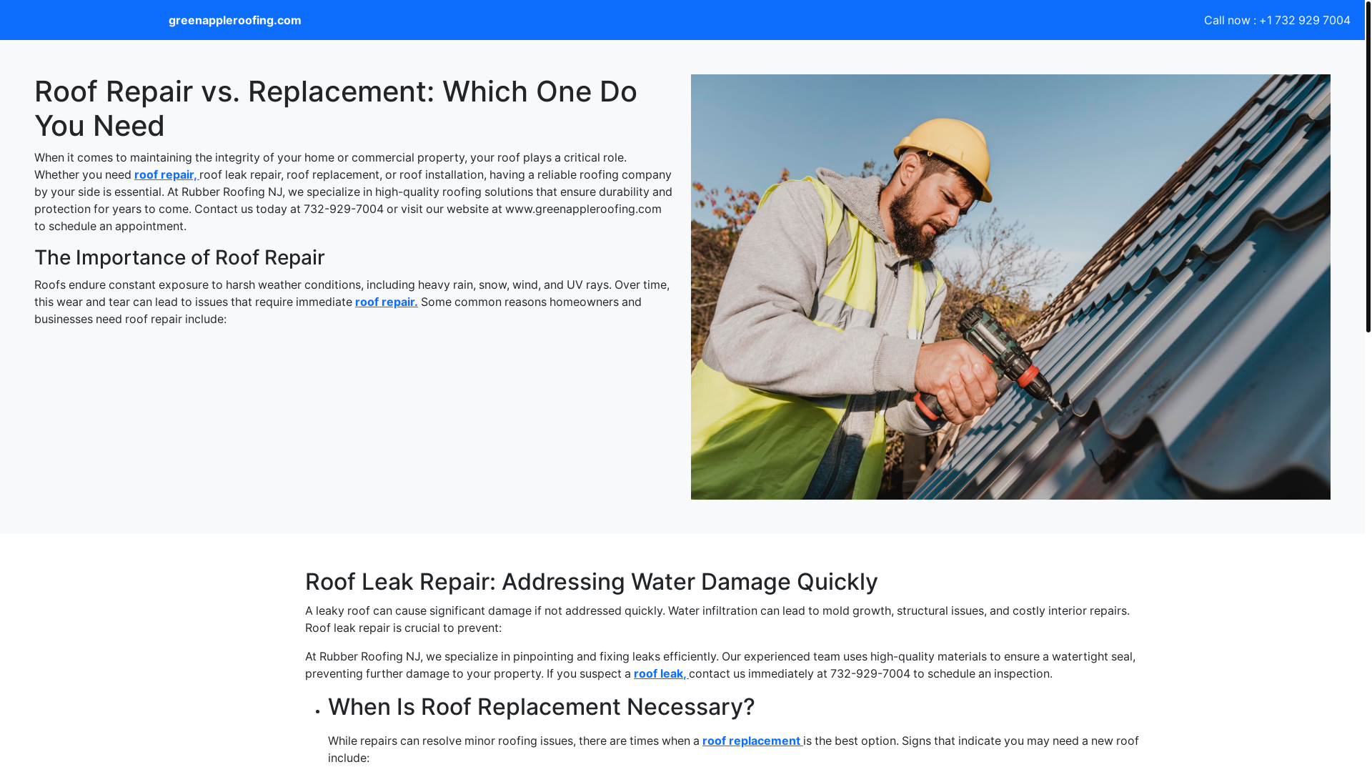 website screenshot of https://roofrepairvsreplacementwhichonedoyouneed.pages.dev/