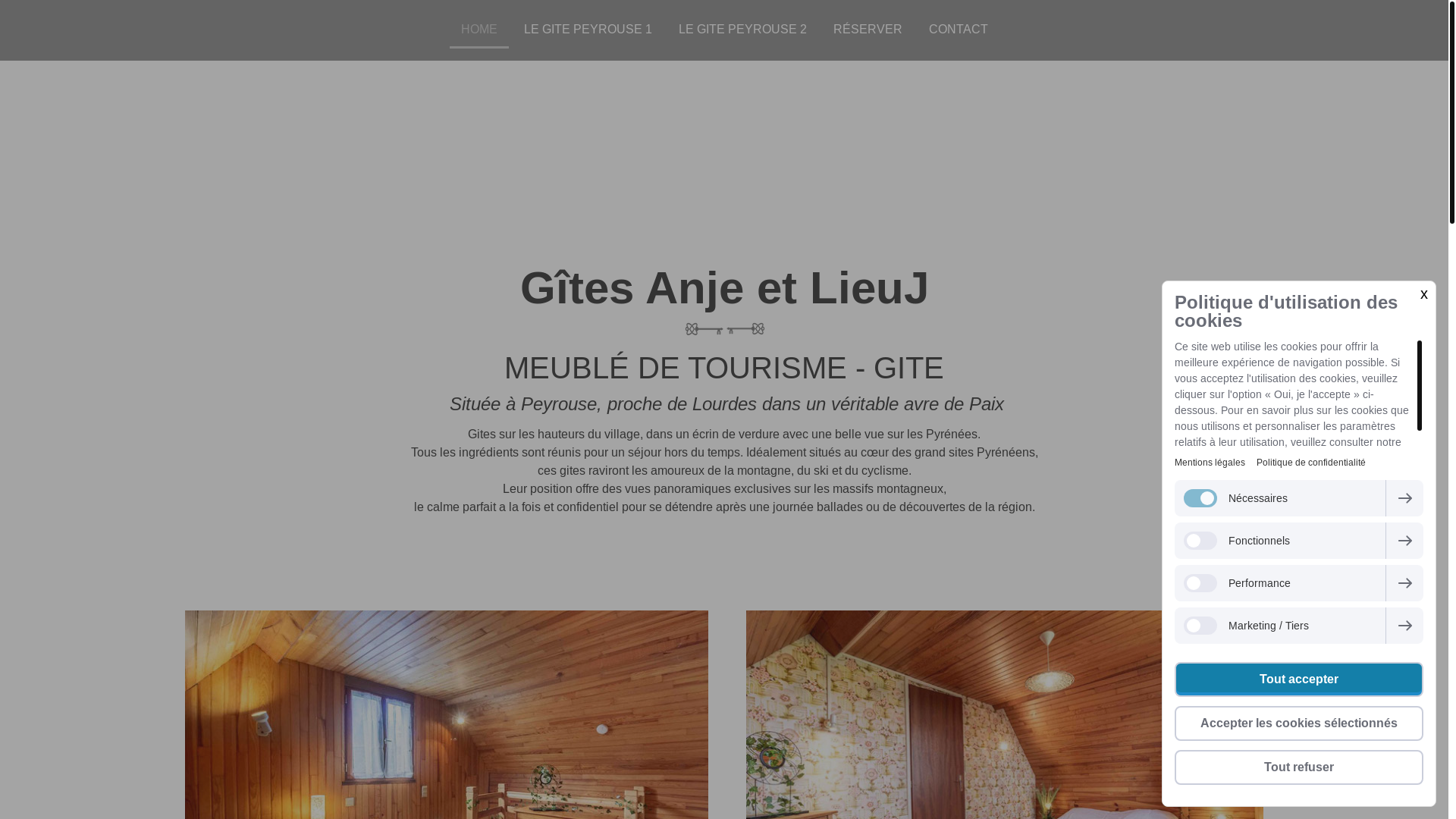 website screenshot of https://anje-lieuj.fr/
