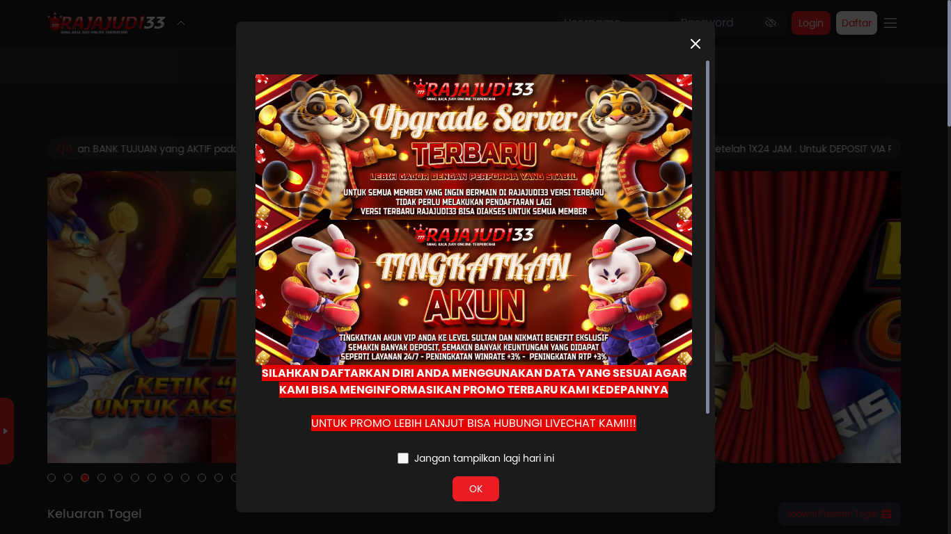 website screenshot of https://privacyraja33.cfd/