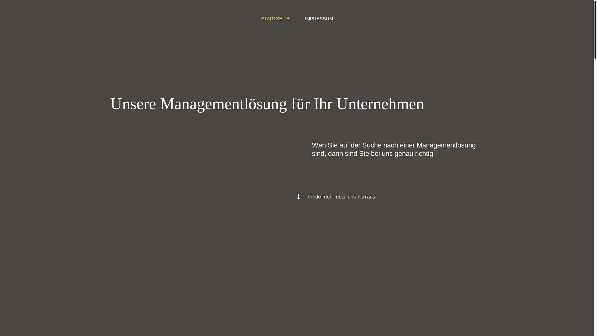 website screenshot of https://sfrmanagement.de/