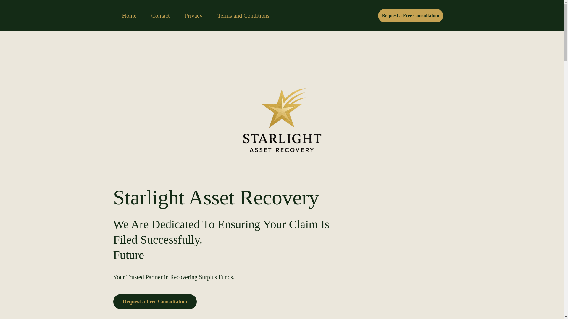 website screenshot of https://starlightassetrecovery.com/