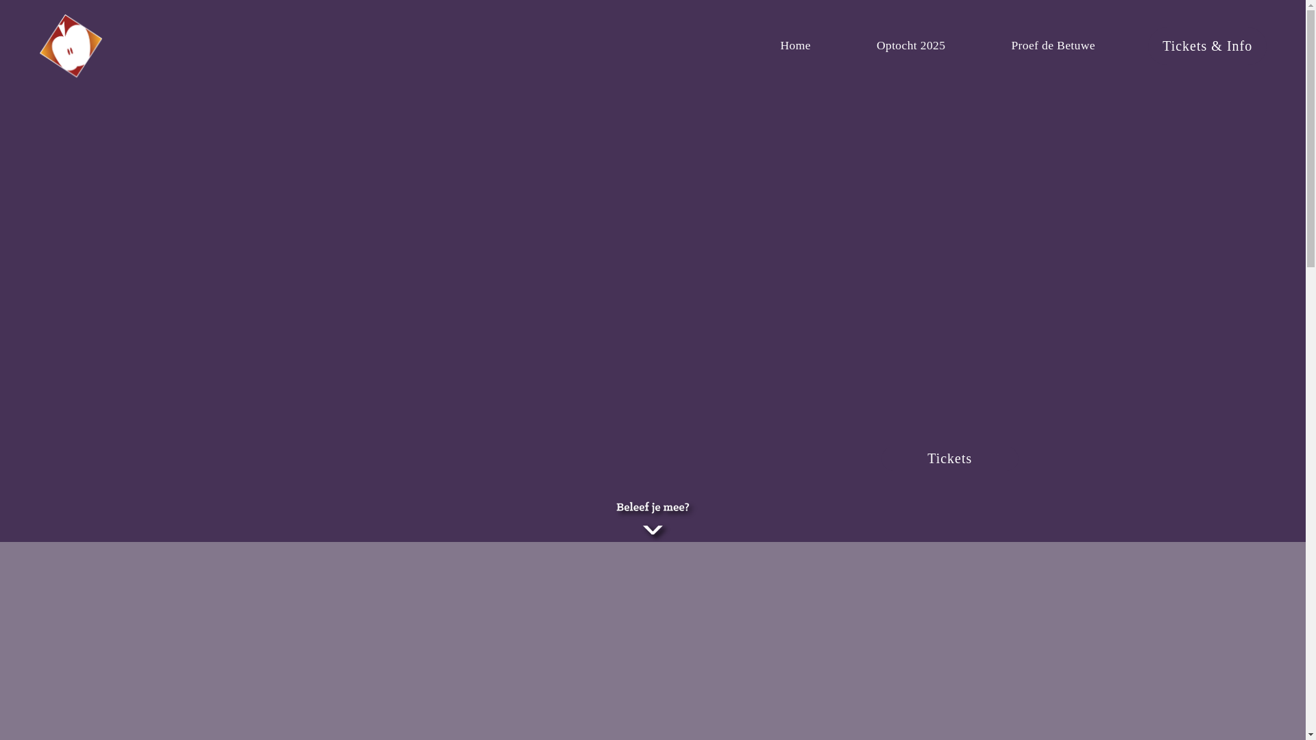 website screenshot of https://symfonieaandewaal.nl/