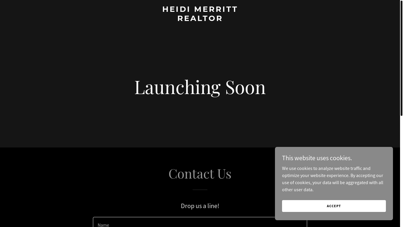 website screenshot of https://heidimerrittrealtor.com/